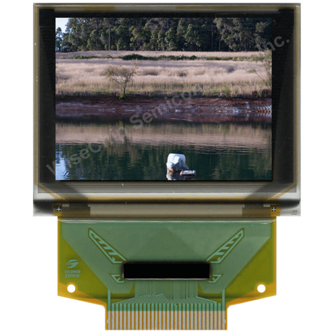 Full Color OLED Displays | Display Logic